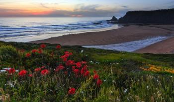 De l'Alentejo à l'Algarve à pied et à vélo De l'Alentejo à l'Algarve à pied et à vélo