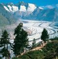 Le Glacier d'Aletsch en libert�
