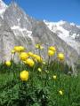 Tour du Mt Blanc en Libert� ( sans trf bagages )