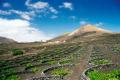 T�n�rife, l'�ternel printemps