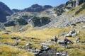 Tr�sors des Balkans