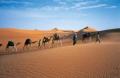 Le pays des Hommes Bleus