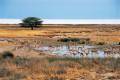 Du Namib au Zamb�ze
