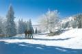 Lacs et Chateaux de Bavi�re en Raquette