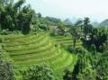 De la fronti�re chinoise aux portes du Cambodge