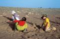 Cache cache avec les Dunes