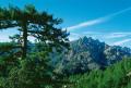 De Niolu, la montagne, � la mer