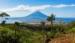Travers�e du Kilimandjaro et Amboseli