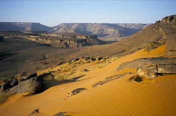 Les oasis de l'Adrar