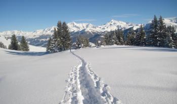 Entre Beaufortain et Vanoise