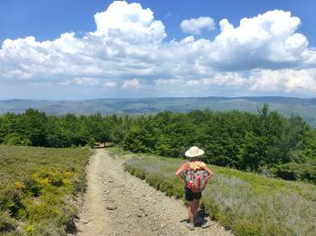 Stevenson : Chasseradès - Saint Jean-du-Gard