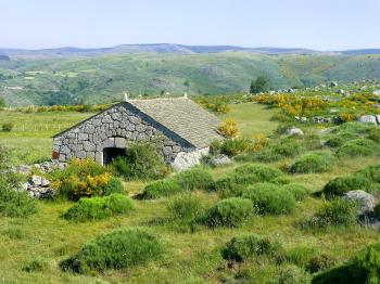 Stevenson : Chasseradès - Saint Jean-du-Gard