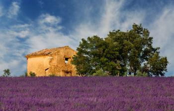 Lubéron, senteurs de Provence