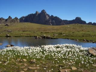 Mont Thabor et vallée de la Clarée