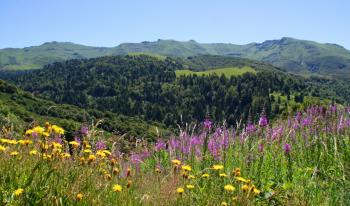 Les Monts du Cantal