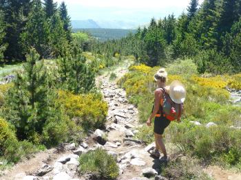 Stevenson : Le Puy - Chasseradès