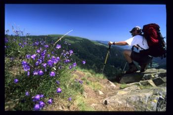 La traversée des Hautes Vosges