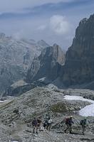 La Traversée des Dolomites