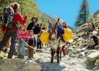 Le Tour du Queyras en Famille