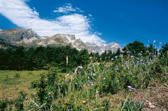 Le Tour du Mont Viso