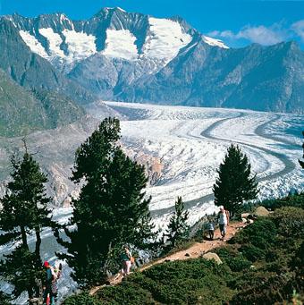 Le Glacier d'Aletsch en liberté