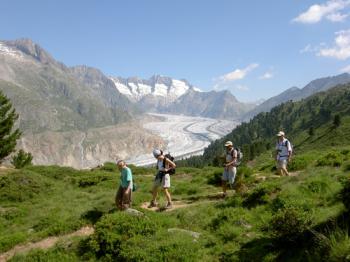 Le Glacier d'Aletsch en liberté