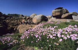 La Côte de Granit Rose