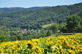 Auvergne :  des lacs, des Volcans