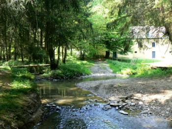 Week End Pure Rando - Forêt d'Anlier