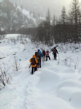 Paysages ardennais en raquette à neige