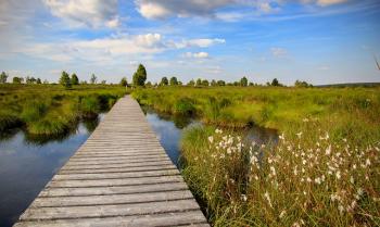 Week End Pure Rando - Hautes Fagnes