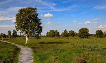 Wellness et rando en Hautes Fagnes