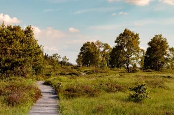 Wellness et rando en Hautes Fagnes Wellness et rando en Hautes Fagnes