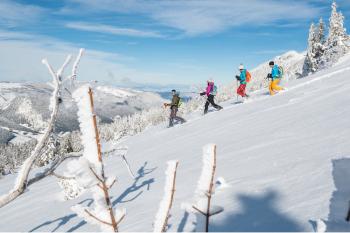 Raquettes en Vercors en liberté Raquettes en Vercors en liberté