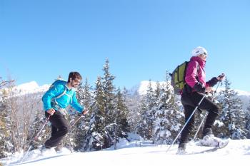 Raquettes en Vercors en liberté Raquettes en Vercors en liberté