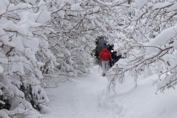 Tour du Vercors en raquette