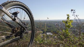 Rando VTT / E-VTT au coeur de l'Ardenne