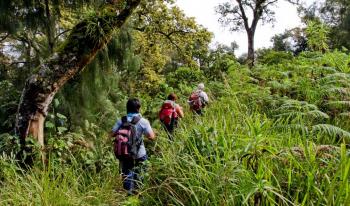 Montagnes vivantes