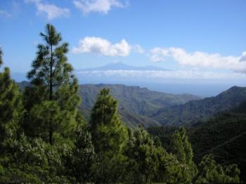 La Gomera, La Palma, Tenerife