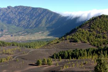 La Gomera, La Palma, Tenerife