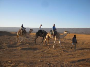 Sur les traces des Caravanes