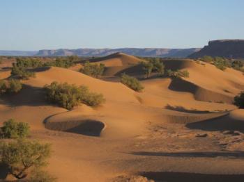 Sur les traces des Caravanes