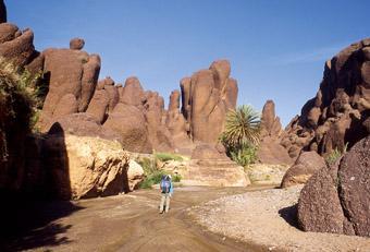 Le Djebel Siroua