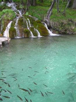 Les Parcs Nationaux de Croatie