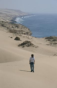 Chameaux de l'Atlantique