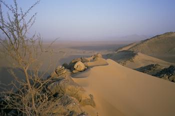 Les Grands Espaces du Sud