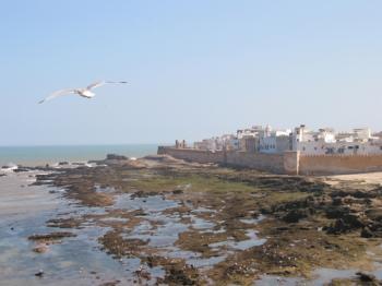 La Caravane Océane