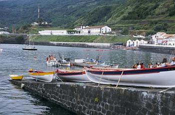 Balades, Baleines et Hortensias