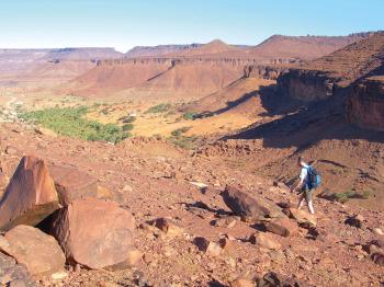Les Oasis de l'Adrar Les Oasis de l'Adrar