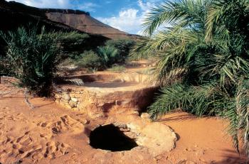 Les Oasis de l'Adrar Les Oasis de l'Adrar